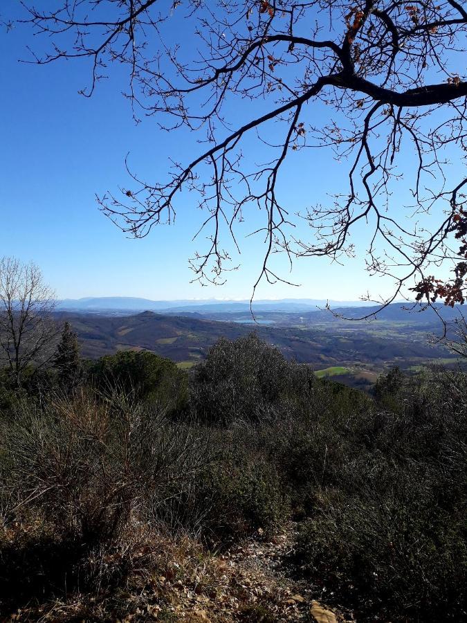 Willa Il Vecchio Frantoio Panicale Zewnętrze zdjęcie